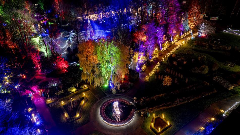 Springfields winter lights